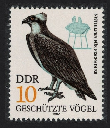 Osprey birds prey rdt - osprey,