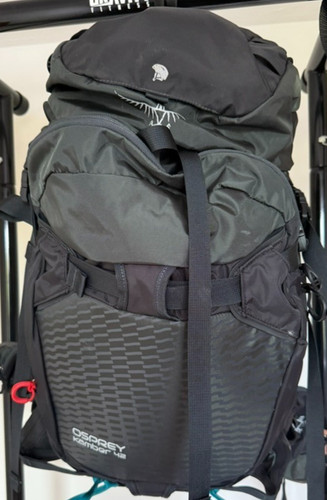 Camera osprey - osprey, 42